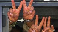 European Parliament Members call for the freeing of Palestinian political prisoners A five member cross-party working group from the European Parliament`s Delegation for Relations with the Palestinian Legislative Council, led by Emer Costello, conducted a visit to the occupied State of...