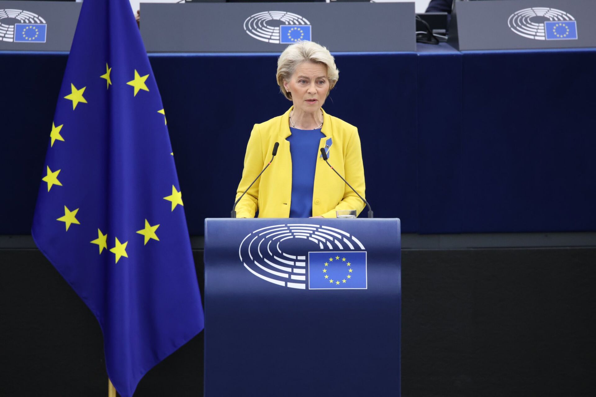 Letter to Ursula von der Leyen concerning the statement issued on the ...
